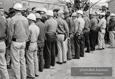 Wall of troopers and possemen, Selma 1965.