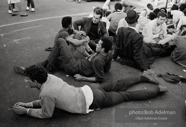 Selma_1_15-31 001
