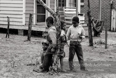 Strange fruit,  Sumter,  South Carolina  1962