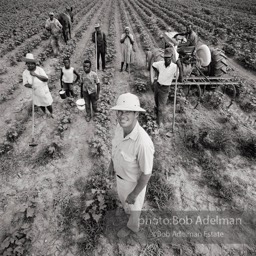 Peyton Buford Jr. and his tenant farmers,  Yellow Bluff,  Alabama  1970-