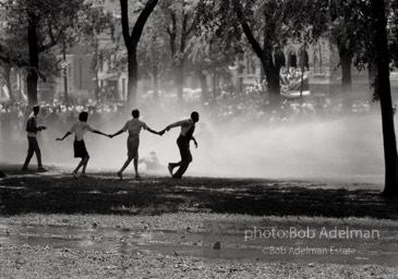 Demonstrators hold on to one another to face the full force of the firehoses which peeled the bark of the trees, Kelly Ingram Park,  Birmingham,  Alabama.  June, 1963.