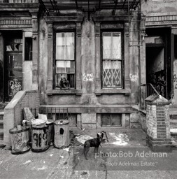 Photographs of the living conditions of poor people on the lower East Side, in Harlem;photographs of abandoned buildings and abandoned neighborhoods.