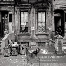 Photographs of the living conditions of poor people on the lower East Side, in Harlem;
photographs of abandoned buildings and abandoned neighborhoods.