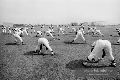 Pittsburgh Pirates Spring training. Bradenton, Florida, 1973.from the book Pittsburgh Pirates Spring training. Bradenton, Florida, 1973.from the book