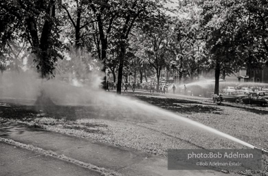 Kelly Ingram Park, Birmingham, AL, 1963.