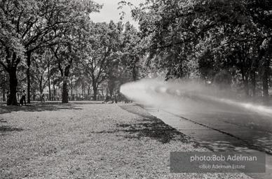 Kelly Ingram Park, Birmingham, AL, 1963.