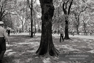 Kelly Ingram Park, Birmingham, AL, 1963.