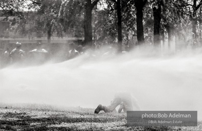 Kelly Ingram Park, Birmingham, AL, 1963.