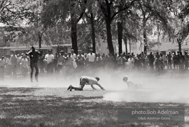 Kelly Ingram Park, Birmingham, AL, 1963.