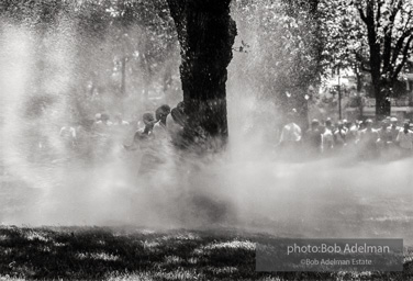 Kelly Ingram Park, Birmingham, AL, 1963.