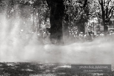 Kelly Ingram Park, Birmingham, AL, 1963.