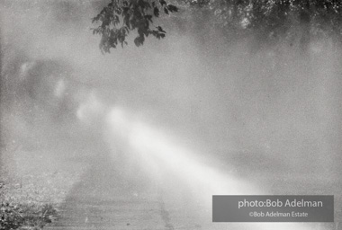 Kelly Ingram Park, Birmingham, AL, 1963.