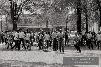 Kelly Ingram Park, Birmingham, AL, 1963.