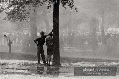 Kelly Ingram Park, Birmingham, AL, 1963.