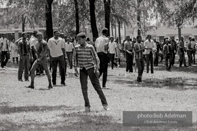 Kelly Ingram Park, Birmingham, AL, 1963.