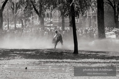 Kelly Ingram Park, Birmingham, AL, 1963.