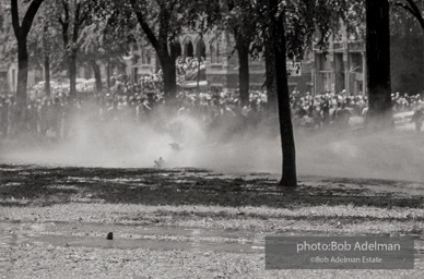 Kelly Ingram Park, Birmingham, AL, 1963.