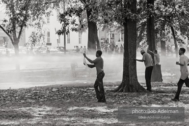 Kelly Ingram Park, Birmingham, AL, 1963.