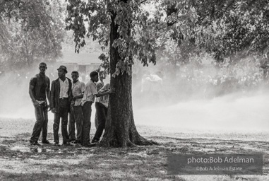 Kelly Ingram Park, Birmingham, AL, 1963.