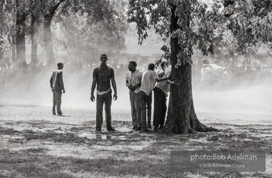 Kelly Ingram Park, Birmingham, AL, 1963.