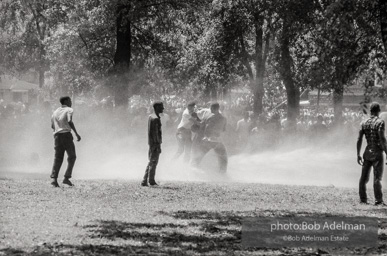 Kelly Ingram Park, Birmingham, AL, 1963.