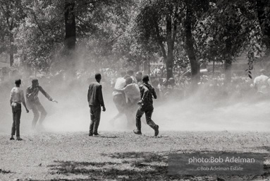 Kelly Ingram Park, Birmingham, AL, 1963.