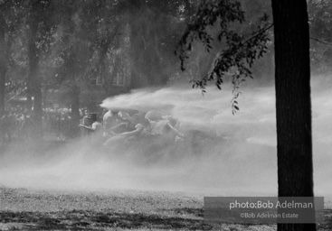 Demonstrators hold onto each other to face the spray, Kelly Ingram Park, Birmingham 1963