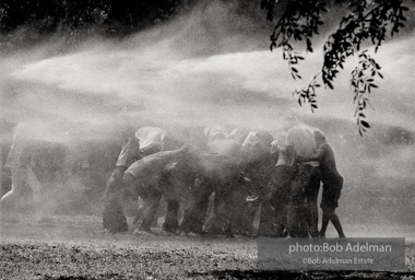 Demonstrators hold onto each other to face the spray, Kelly Ingram Park, Birmingham 1963