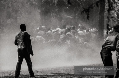 Kelly Ingram Park, Birmingham, AL, 1963.