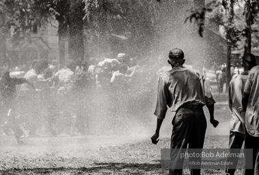 Demonstrators hold onto each other to face the spray, Kelly Ingram Park, Birmingham 1963