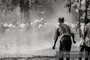 Demonstrators hold onto each other to face the spray, Kelly Ingram Park, Birmingham 1963 Demonstrators hold onto each other to face the spray, Kelly Ingram Park, Birmingham 1963