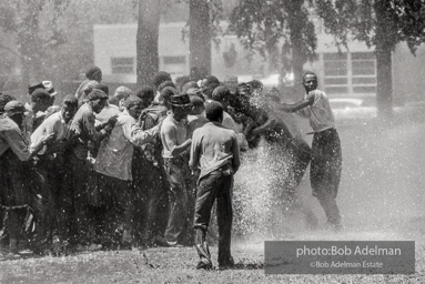 Demonstrators hold onto each other to face the spray, Kelly Ingram Park, Birmingham 1963