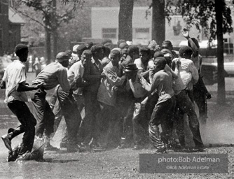 Kelly Ingram Park, Birmingham, AL, 1963.