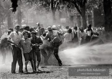 Kelly Ingram Park, Birmingham, AL, 1963.