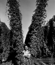 Thomas Suave, a hop farmer, near Yakima, Washington. (1989)