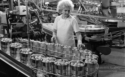Cannery worker, Yakima, Washington. (1989)