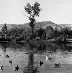 Sportsmen’s Park, Yakima, Washington. (1989)