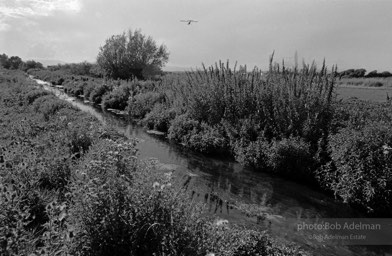 Bachelor Creek, near Yakima, Washington, the setting for “Nobody Said Anything.” (1989)