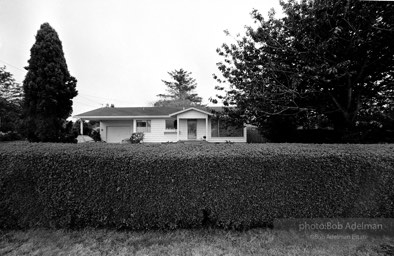 Chef’s house, behind the Bella Vista Inn, Arcata, California. (1989)