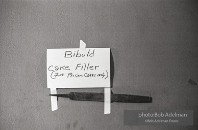 Bibulb family, Brooklyn chapter of the Congress of Racial Equality sit-in at P.S. 200. November, 1962.BE_07-03 001