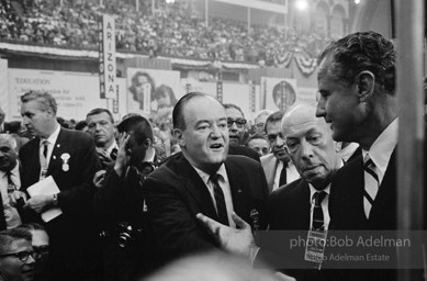 Democratic National Convention. Atlantic City,1964.