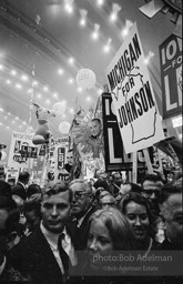 Democratic National Convention. Atlantic City,1964.