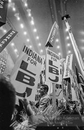 Democratic National Convention. Atlantic City,1964.