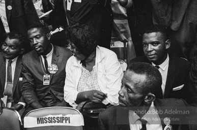 Members of the Mississippi Freedom Democratic Party sitting in the seats of the Mississippi delegation on the floor of the Democratic National Convention, Atlantic City, NJ 1964
