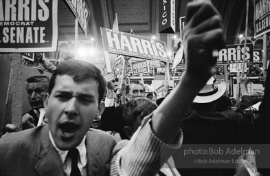 Democratic National Convention. Atlantic City,1964.