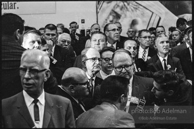 Democratic National Convention. Atlantic City,1964.