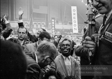 Democratic National Convention. Atlantic City,1964.