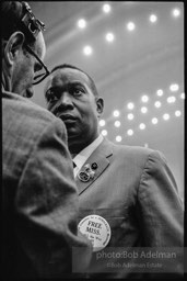 Democratic National Convention. Atlantic City,1964.