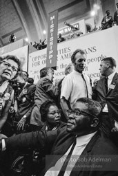 Democratic National Convention. Atlantic City,1964.