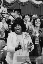 D_C_09-37 001 Democratic Convention. New York City, 1976.photo:Bob Adelman©Bob Adelman Estate